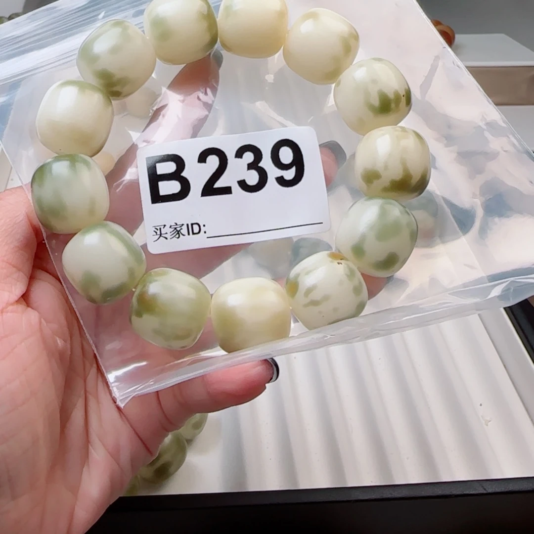 t***o手串菩提根/象牙果19。