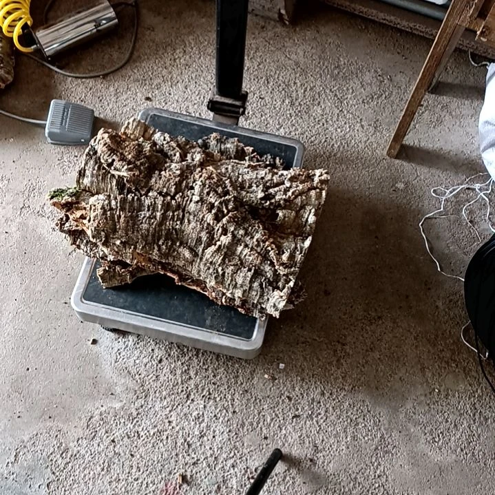 木一物一拍一物一发