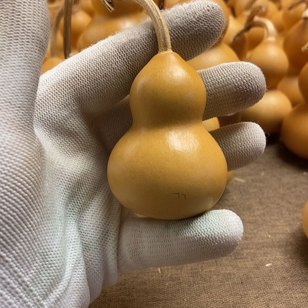 文玩葫芦 完美主义者 慎拍77