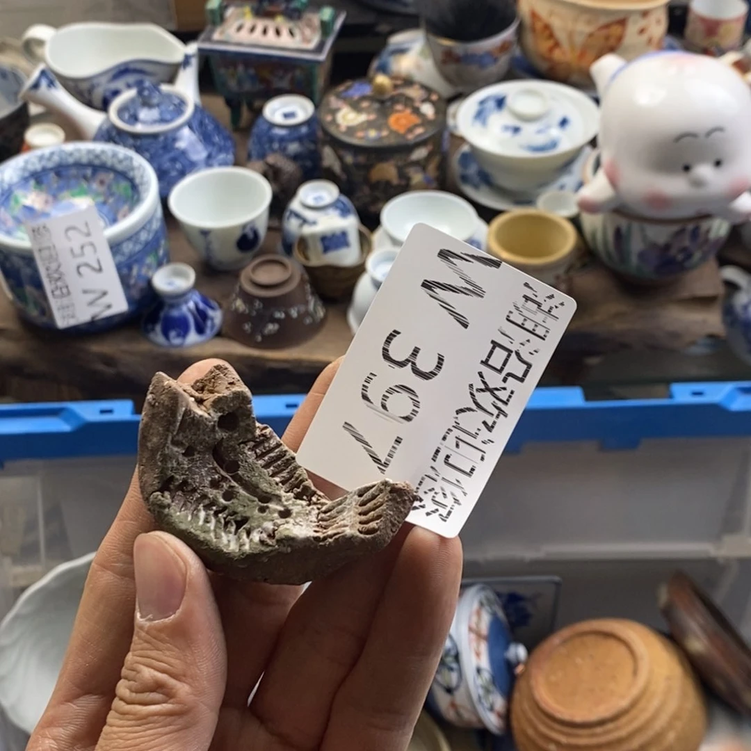 瓷器的一个人的时候我也一****羊