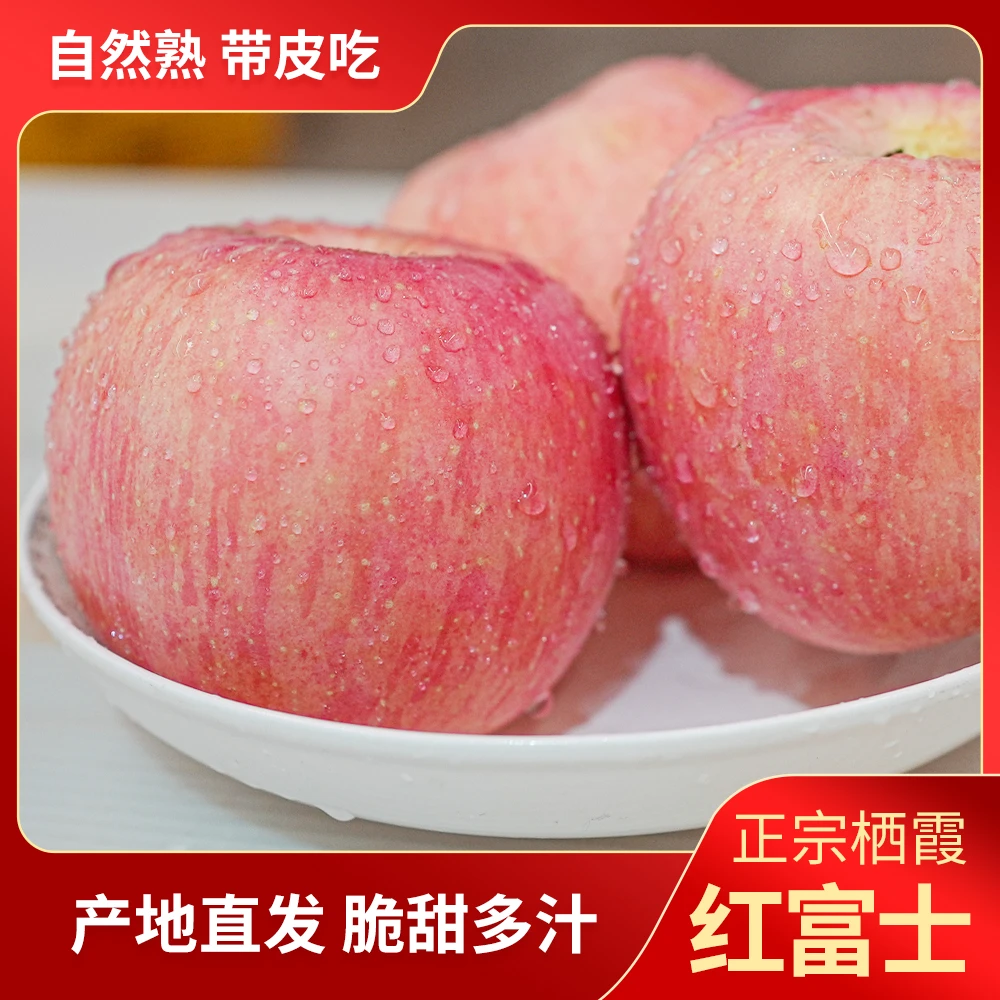 山东烟台栖霞红富士苹果脆甜多汁当季头茬新果新鲜水果产地直销发