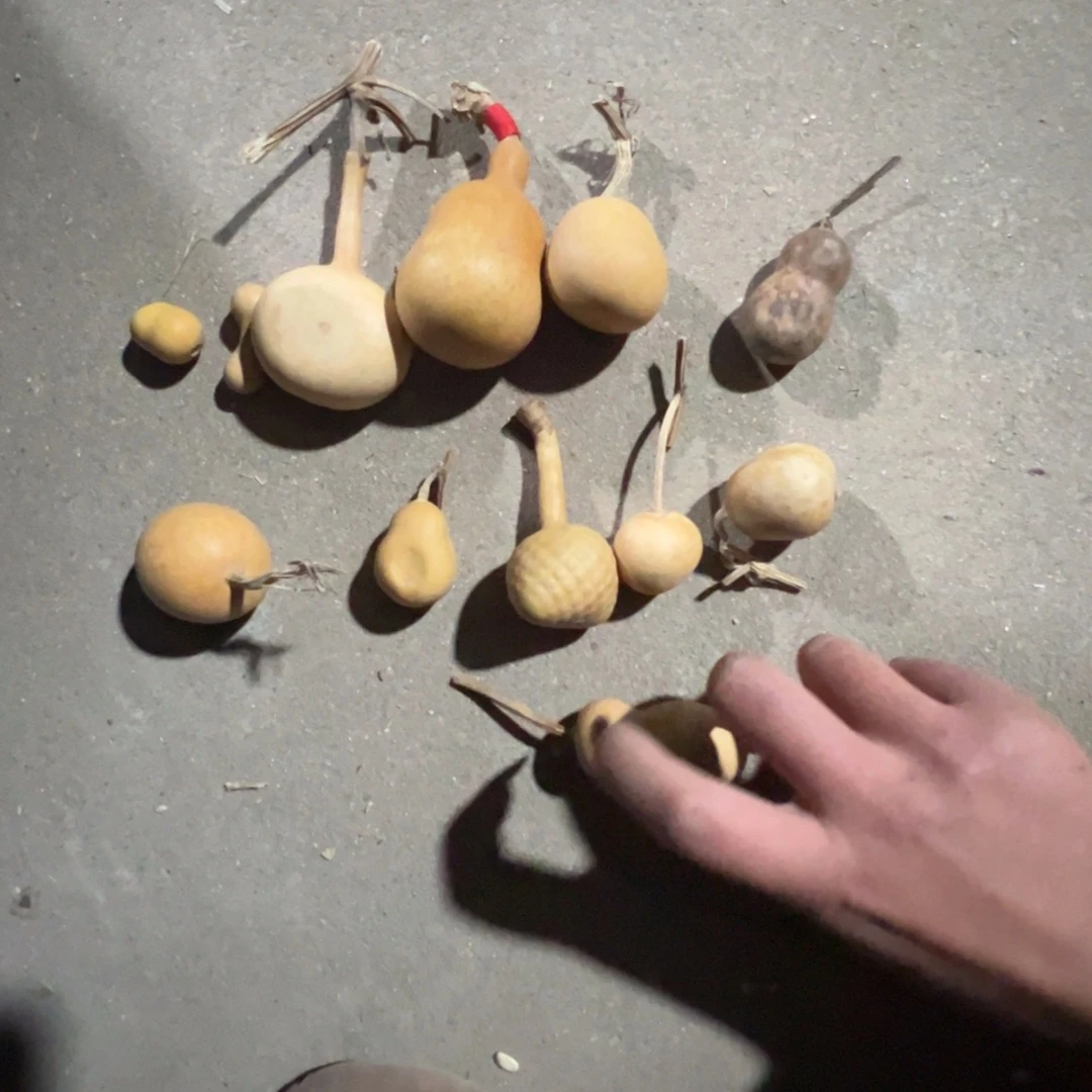 葫芦明轩葫芦哈哈哈