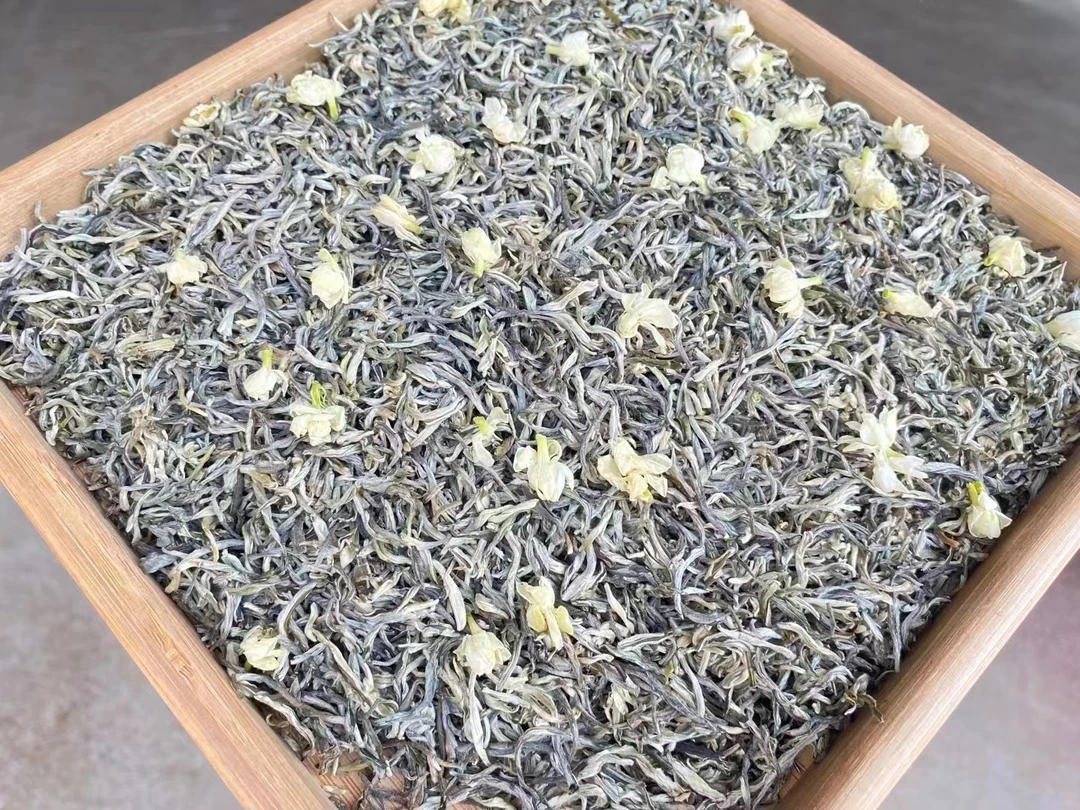 新茶   雪芽 茉莉花茶   茉莉花香浓郁