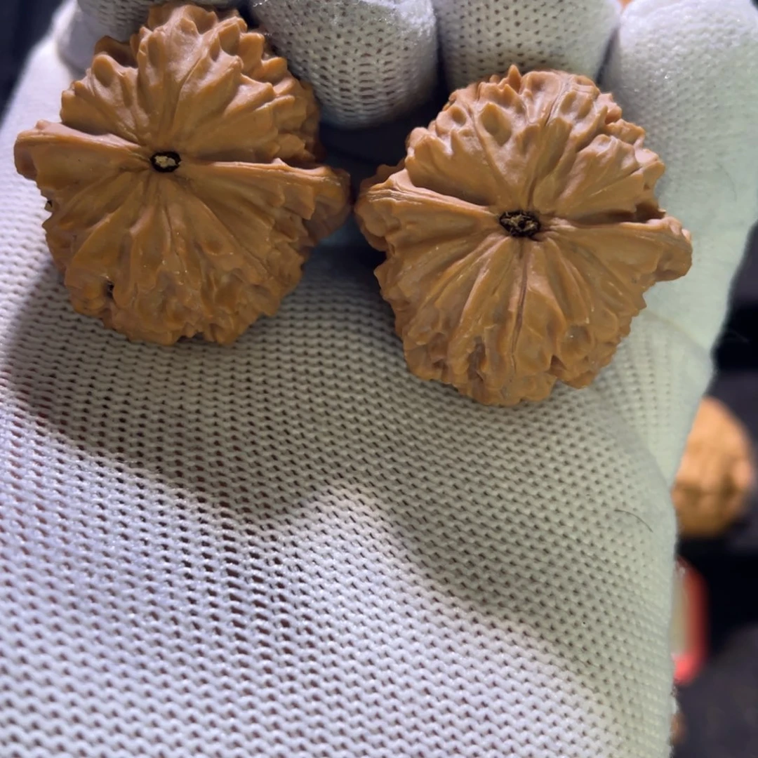 1**古秦皇岛山地果q p