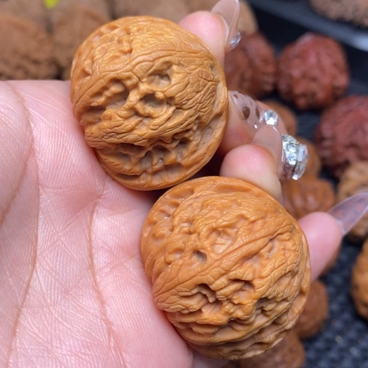 秦岭野生00000000017