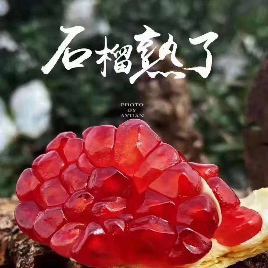 建水酸甜石榴顺丰包邮品质无忧