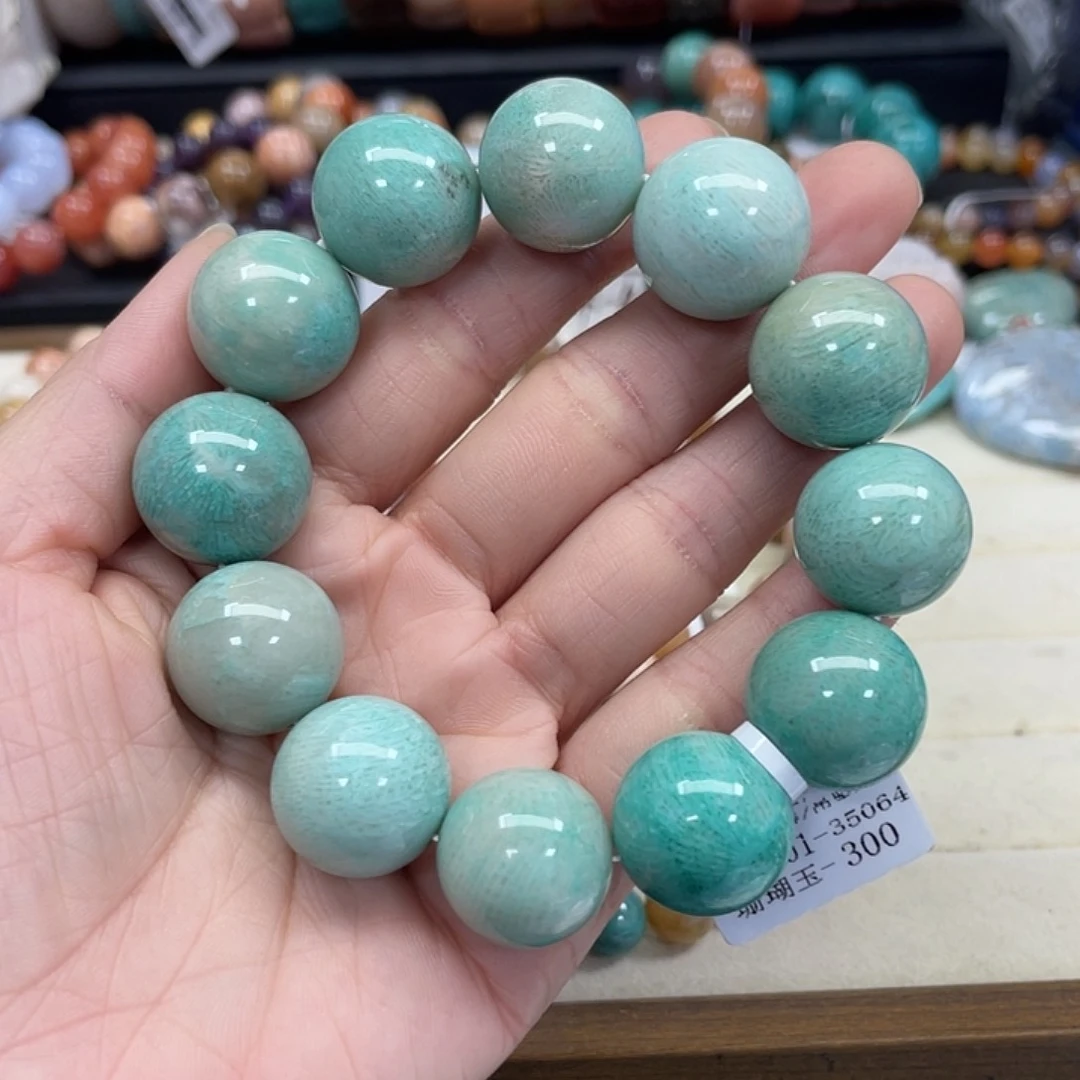 未镶嵌手串硅化珊瑚（珊瑚玉）精***号681