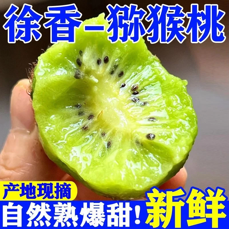 【放软食用】正宗陕西周至徐香猕猴桃60-80g 坏果包赔P