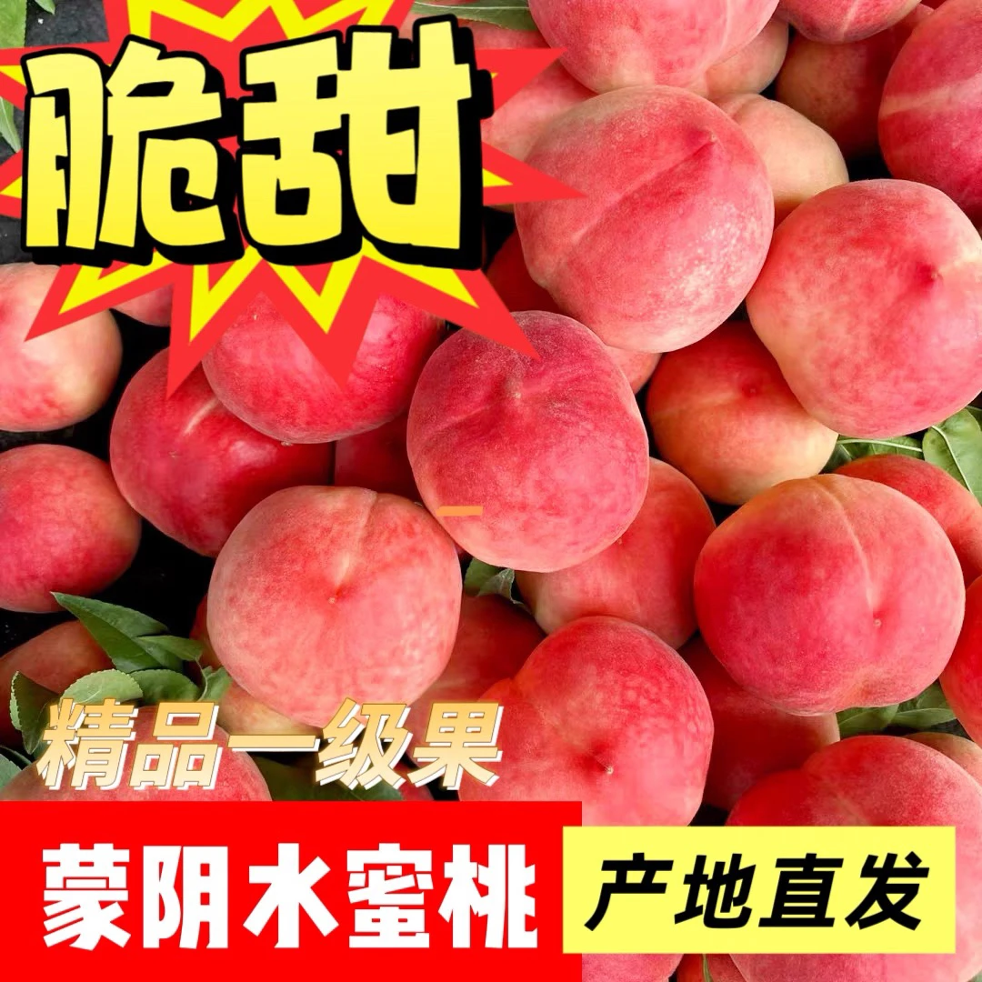 山东蒙阴金秋红蜜现摘红桃脆桃应季水果脆甜多汁孕妇桃子产地直发