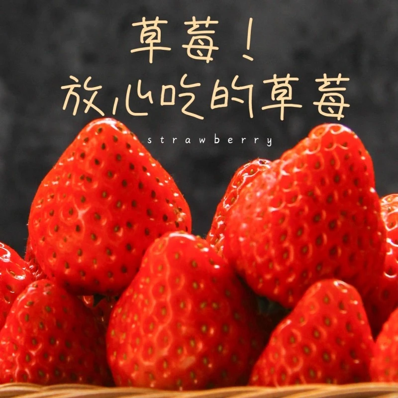 丹东红颜九九草莓一盒/500g99红颜广西壮族自治区