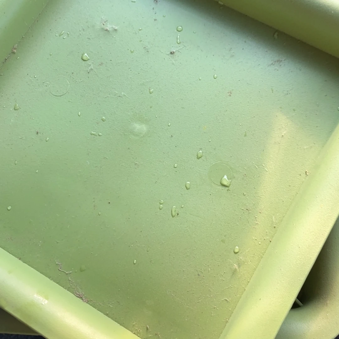 树脂清*2个19口果绿方托盘