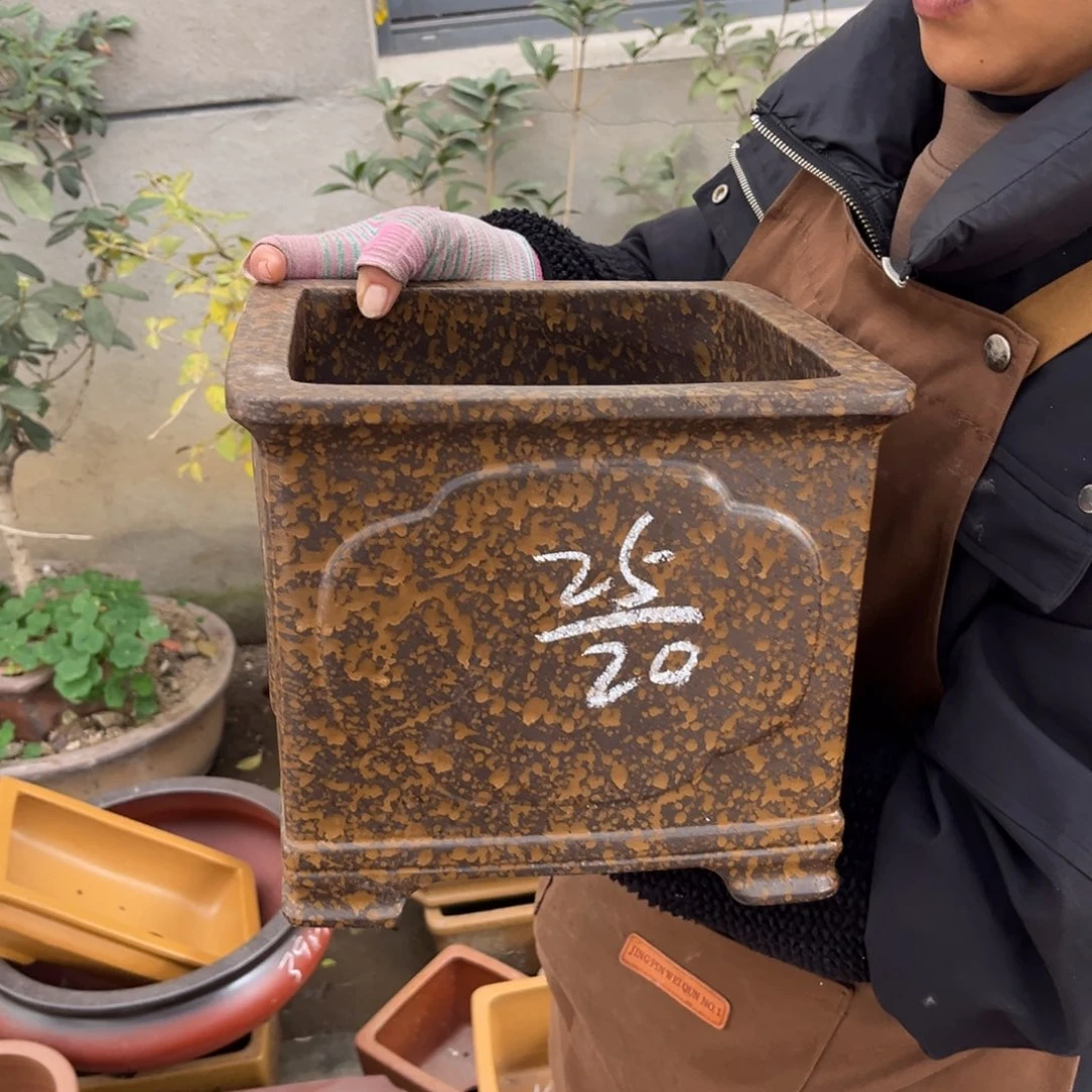 紫砂花盆盆景艺术