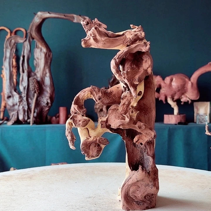 黑果木修*784金丝红羊蹄甲半成品