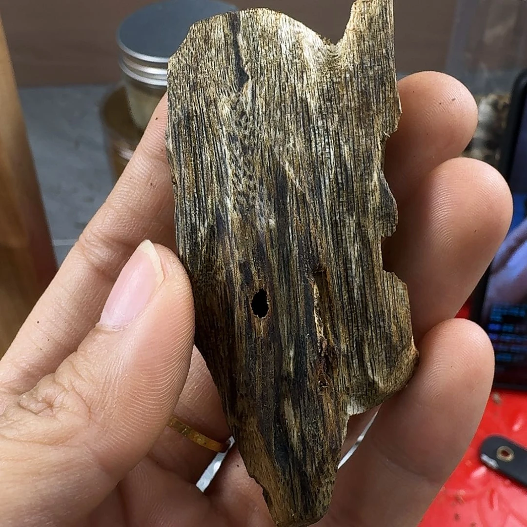 香料绿奇楠虫漏张勺子8克