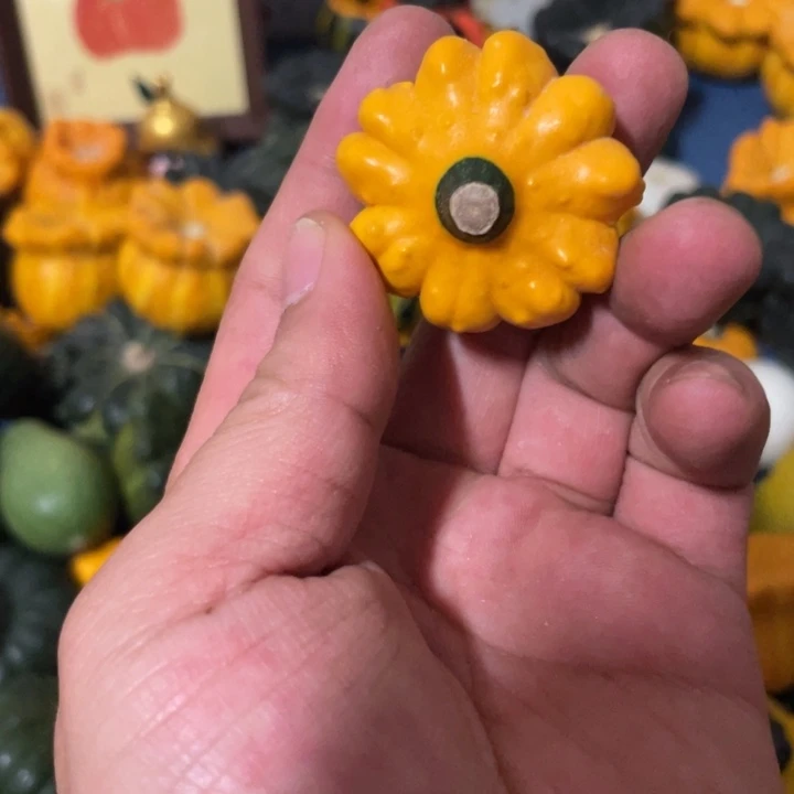 小*子6555555656666887444