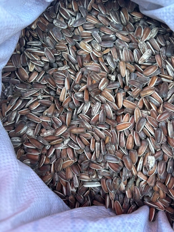 云南红瓜子高原特产甜香原味生葵花籽休闲零食