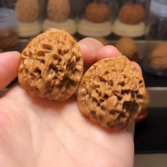 精品：福利鱼籽纹
