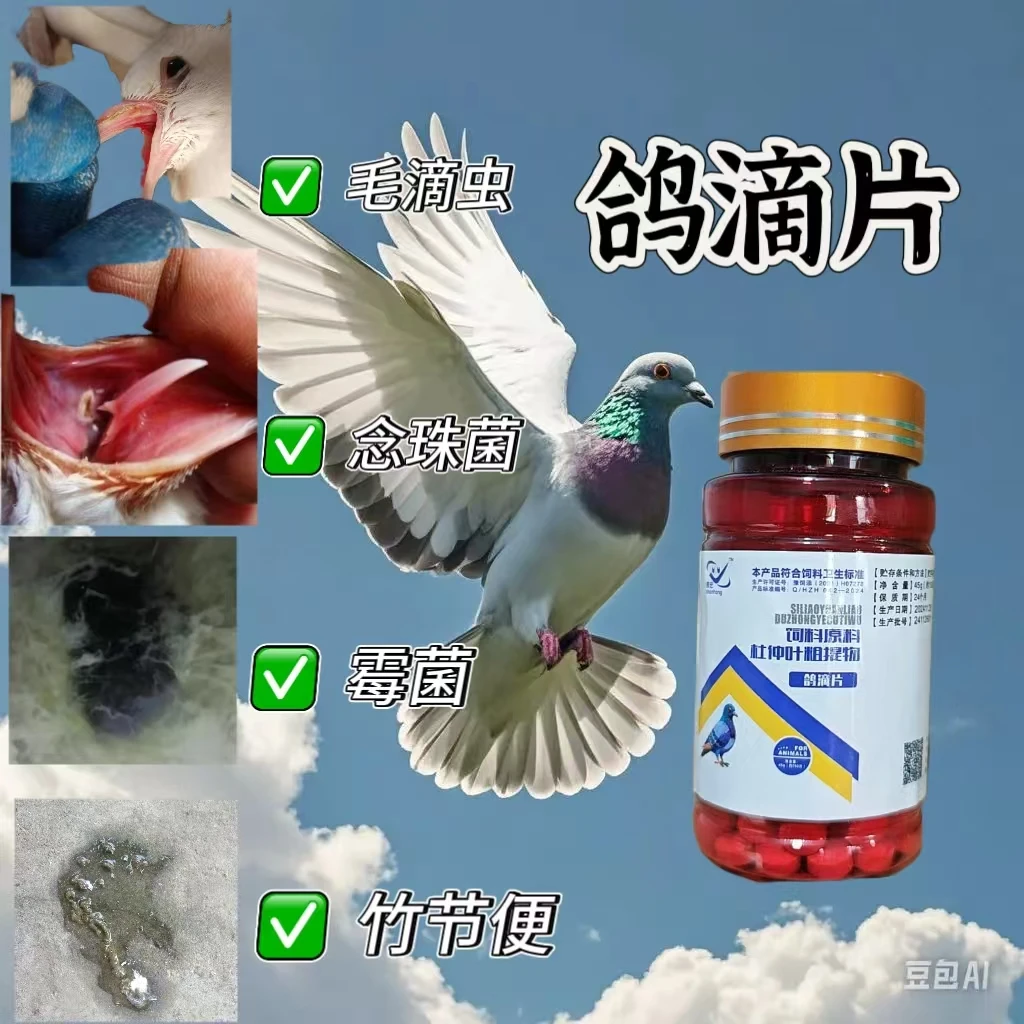 鸽滴片 片剂 鸽子鸟类毛滴虫口黄 呼噜喘 口腔红白点 竹节便！