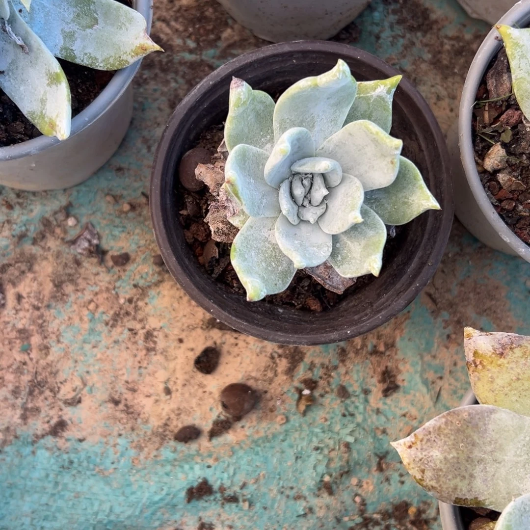 饮***水谢谢宝，你物一拍942