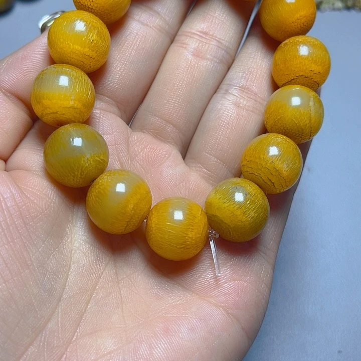 大果紫檀（缅甸花梨）