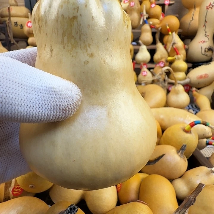 ****7莲花头胖墩矮胖子