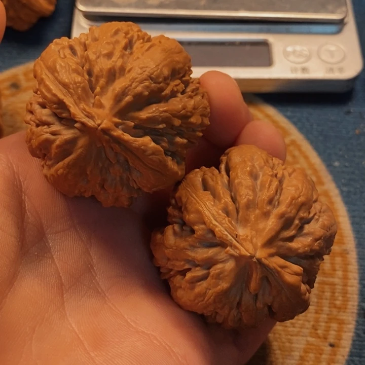 吊坠文玩核桃全品霸王龙44