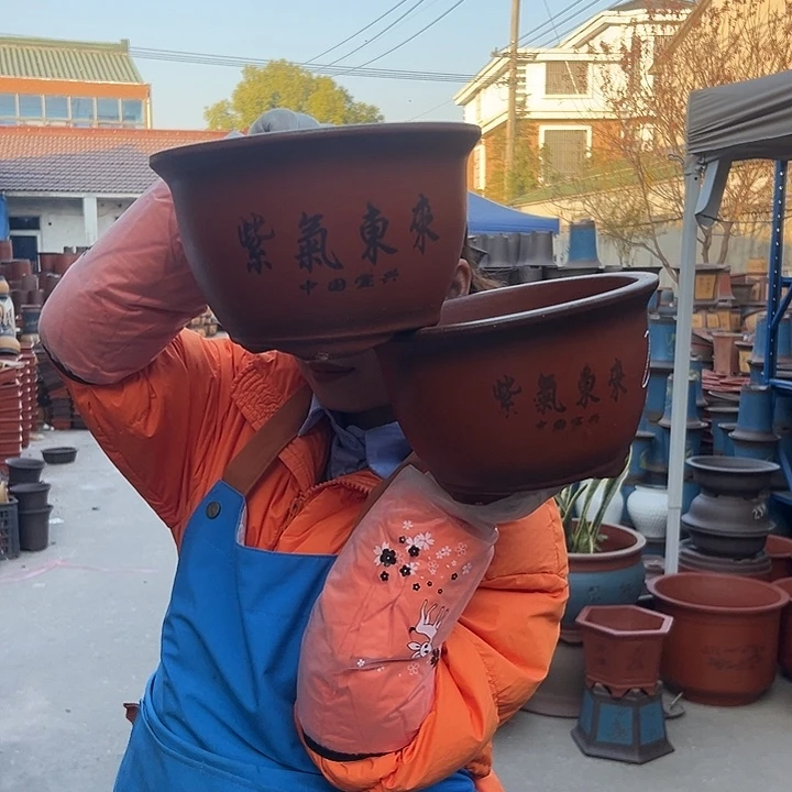 21+21紫气东来花盆花盆花盆