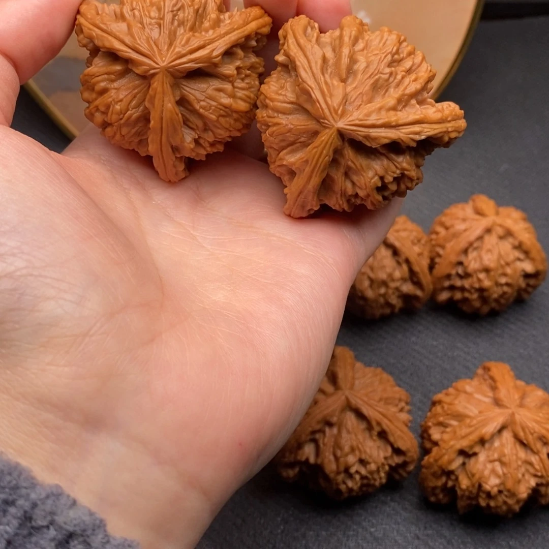 感**切白狮子1111111111