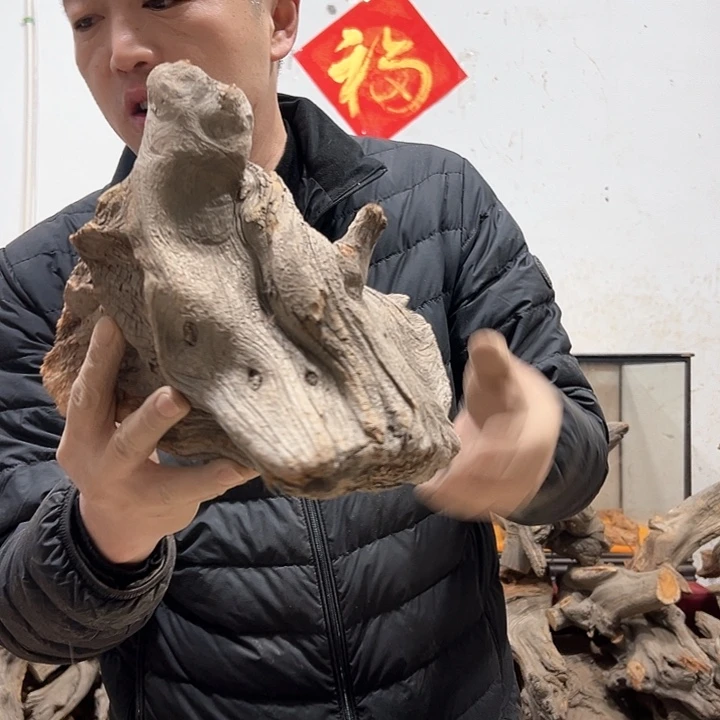 柏木?****?我们的生活也是如此