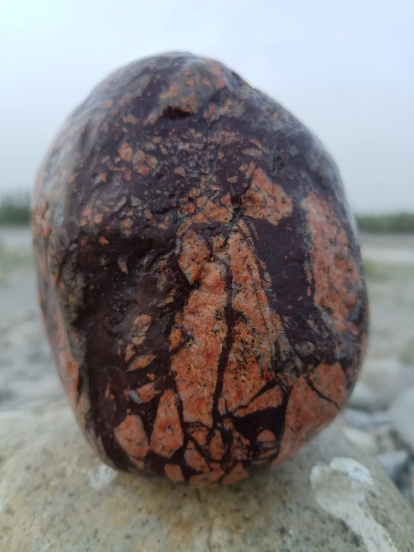 10 - 300规格盆景石新疆额河奇石用于园林创意装饰