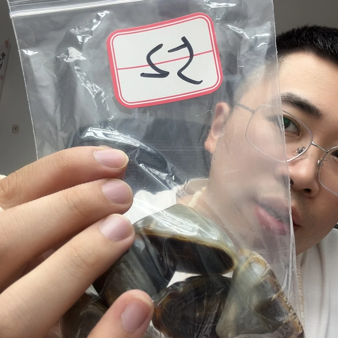 橄榄核手串/手链工艺品52