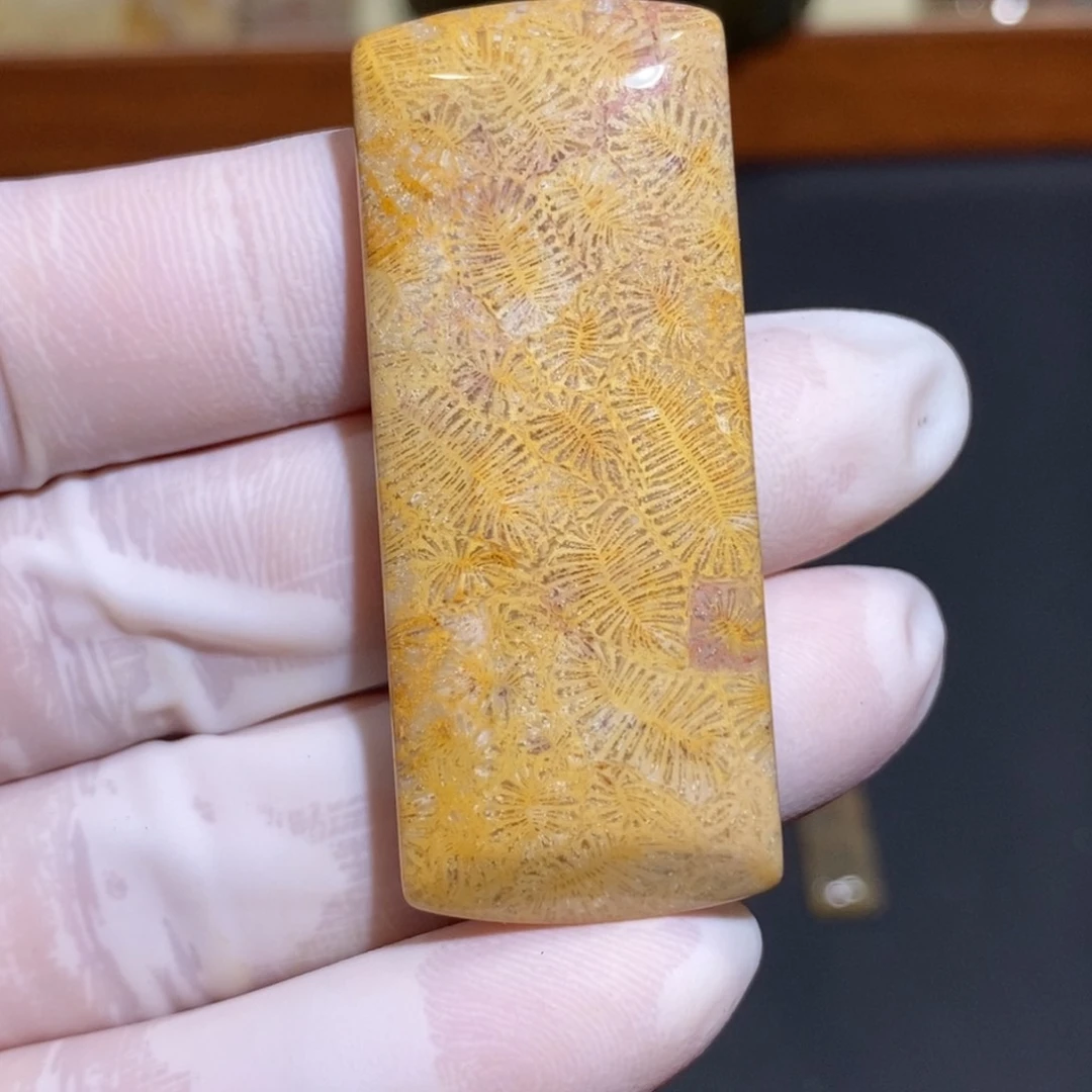 【闪购商品】未镶嵌珊瑚玉硅化玉