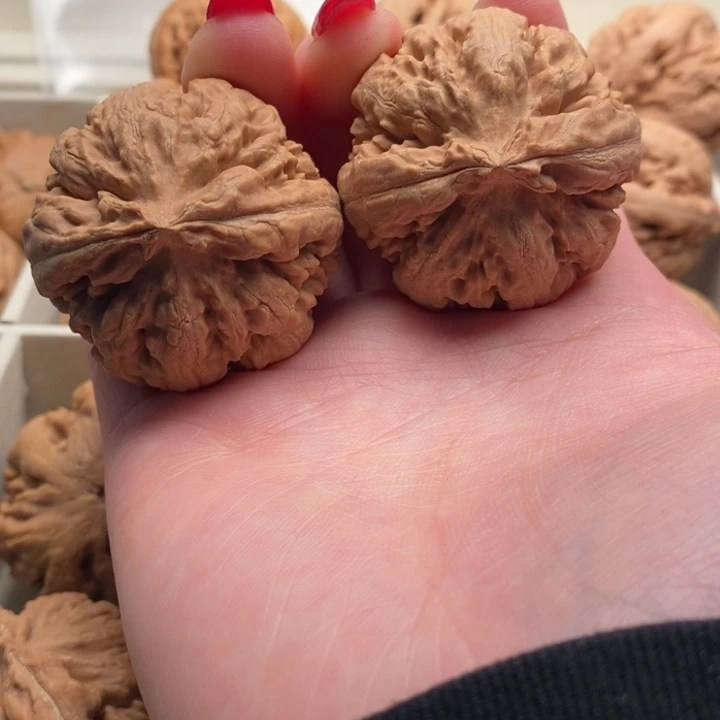 人****文玩核桃把件霸王龙