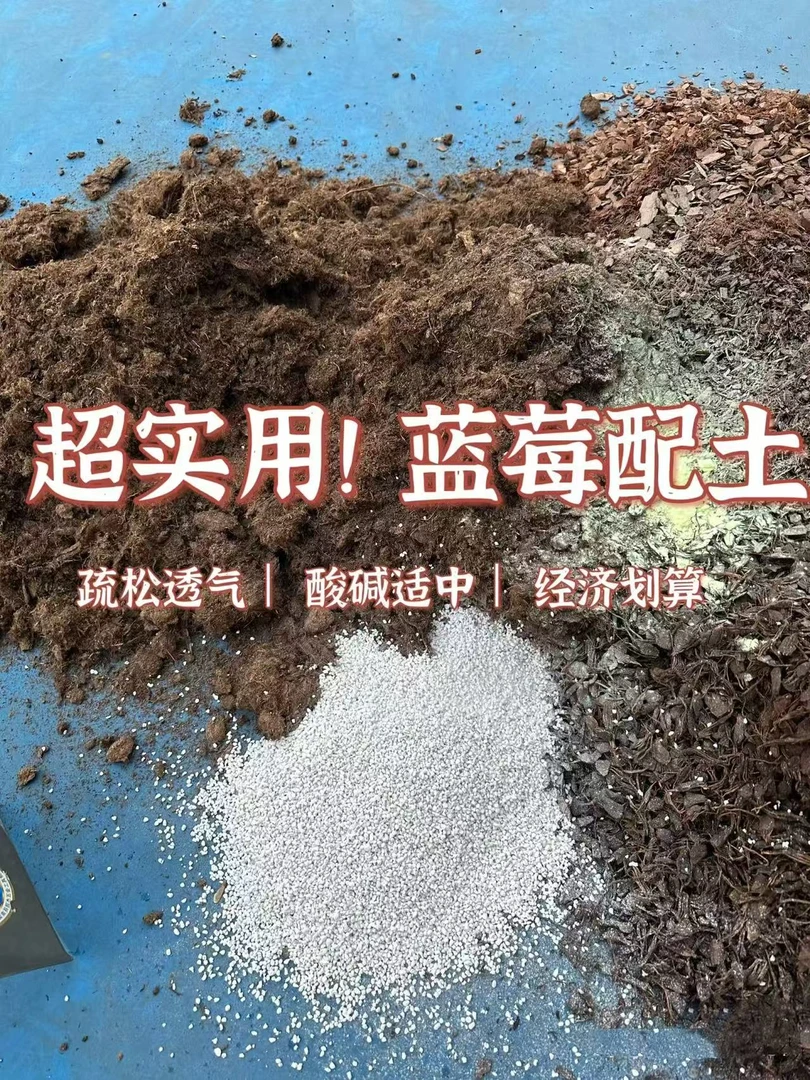 蓝莓种植   专用土