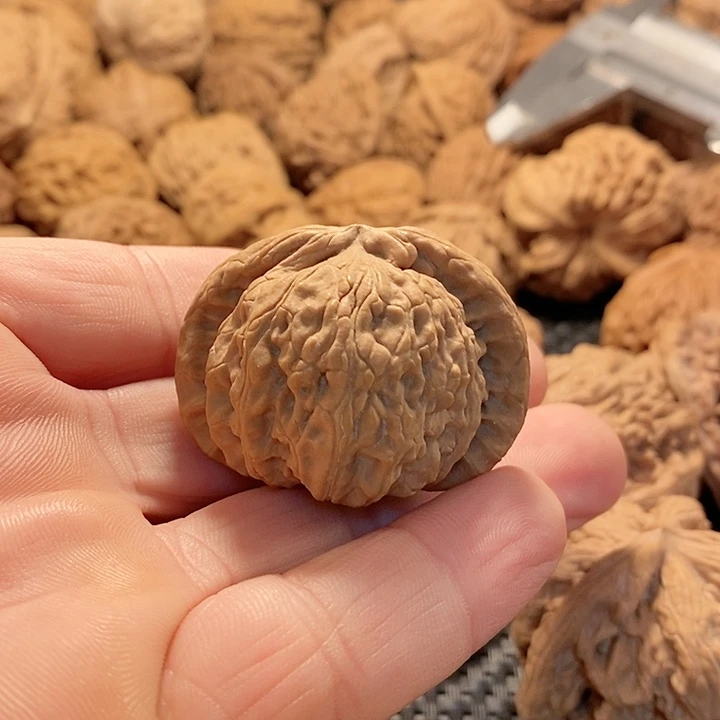 把件文玩核桃白师子头全品