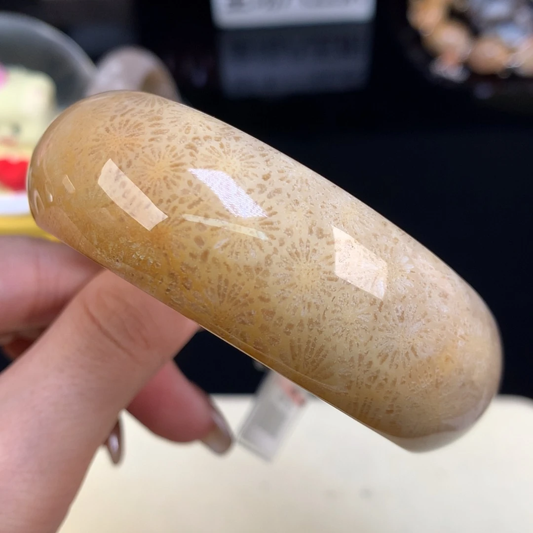 【闪购商品】颈饰未镶嵌硅化珊瑚（珊瑚玉）福利手镯57.8（60号）