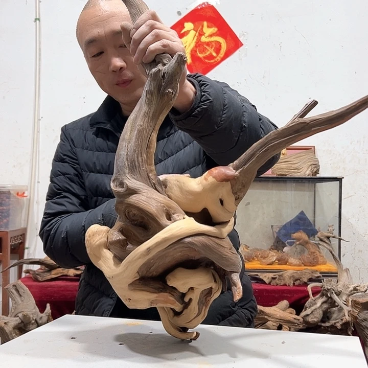 柏木皆**喜我们的生活是一场