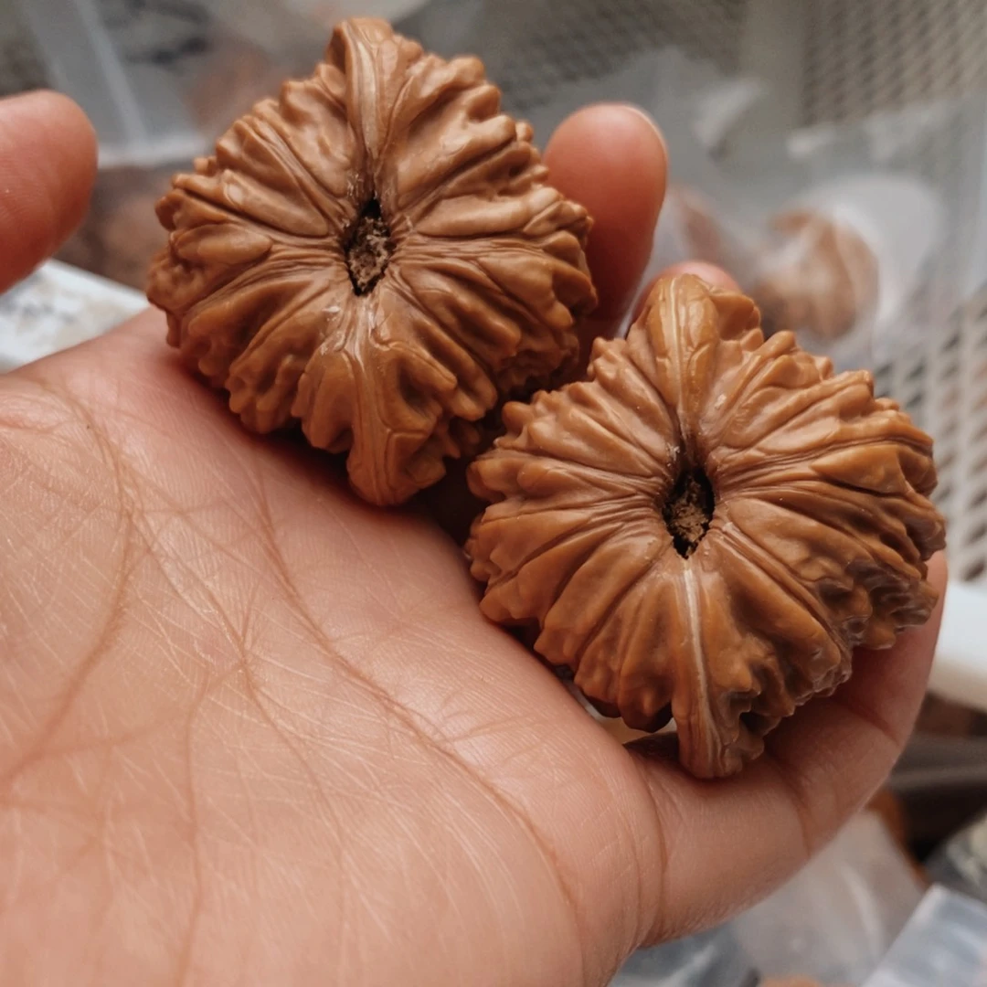 文玩核桃把件南瓜楼44尺