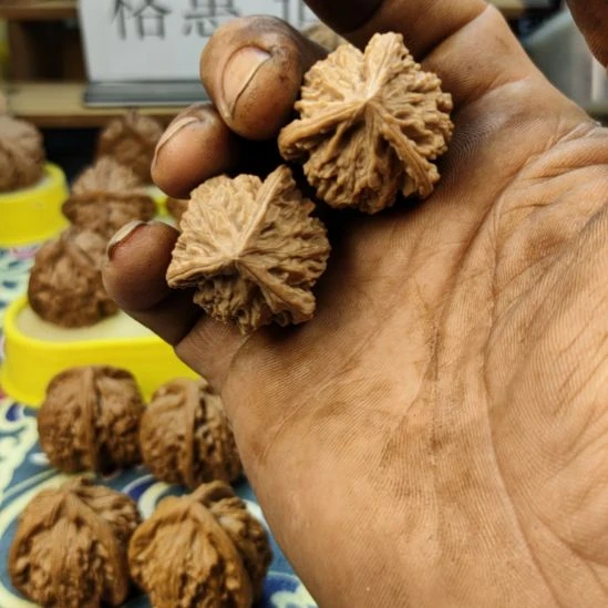 核桃盘山三棱核桃33尺寸