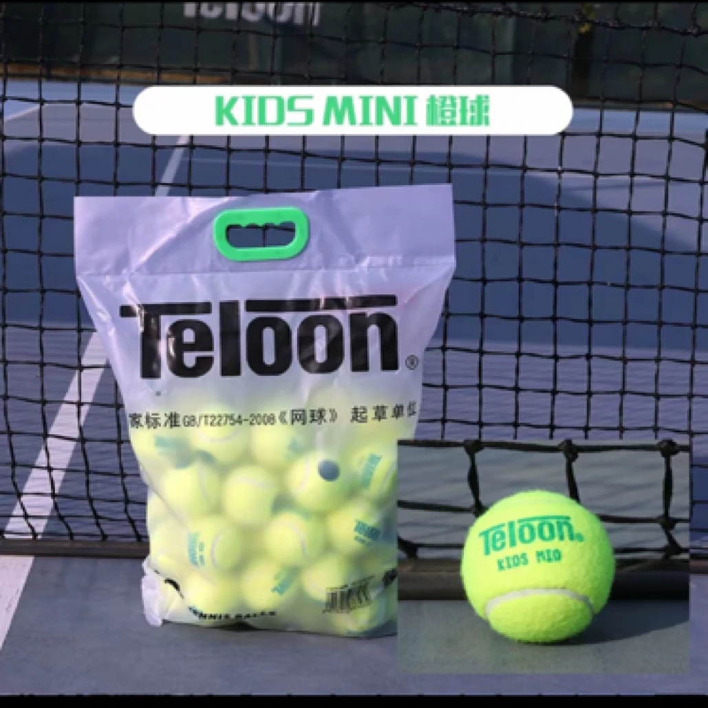 天龙网球成人儿童用球专业比赛训练用球整袋半袋高回弹天龙训练球