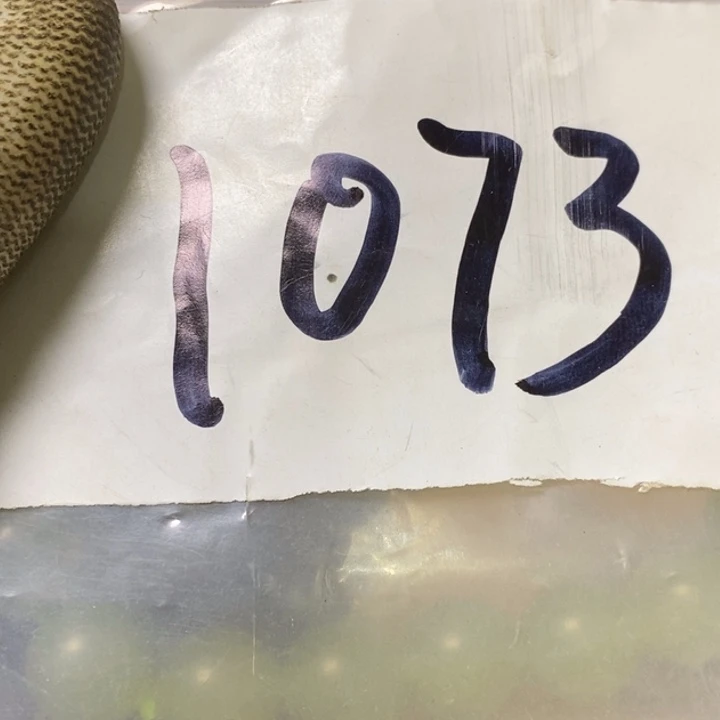 叶***3娜娜文玩杂项专属链接