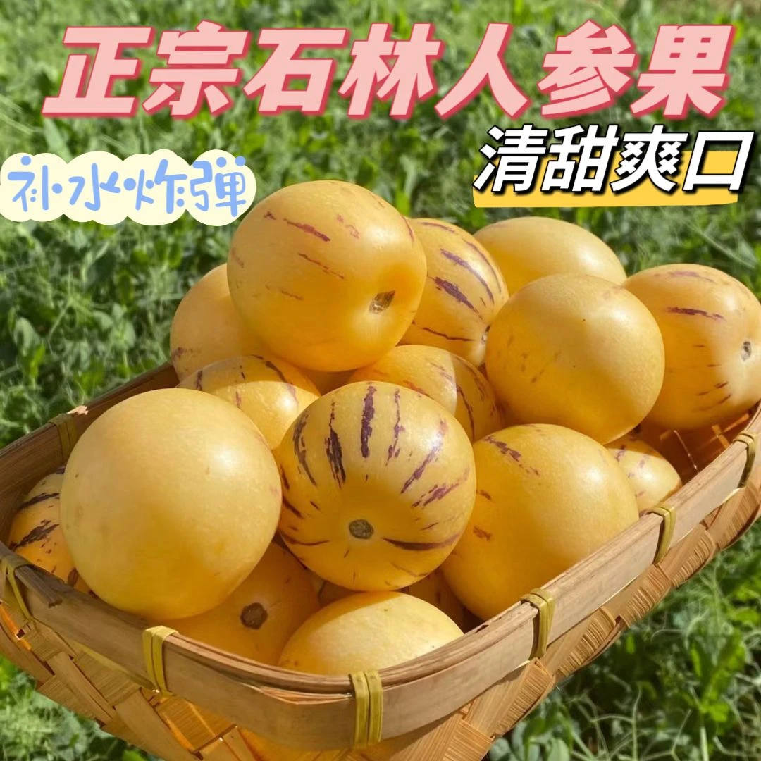树上熟果正宗石林人参果云南正宗应季树熟新鲜圆果黄心大果黄肉