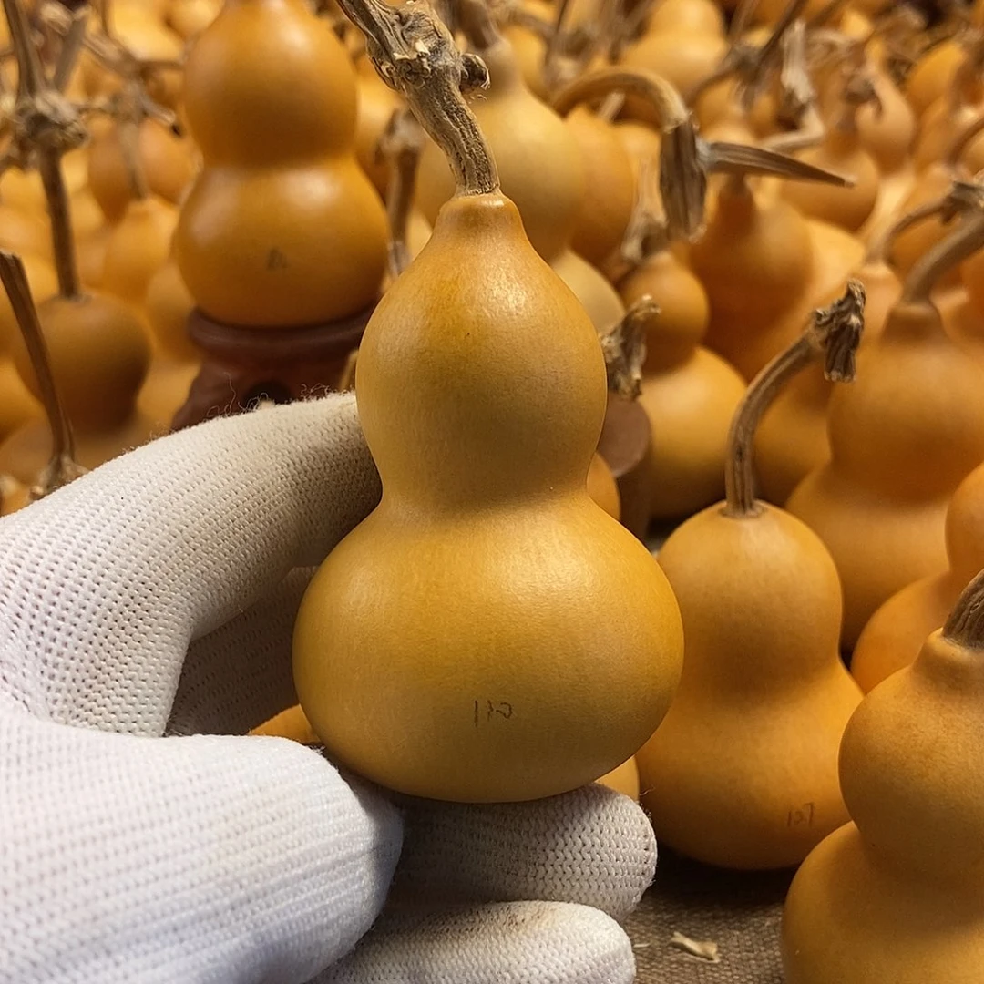 文玩葫芦 完美主义者 慎拍110