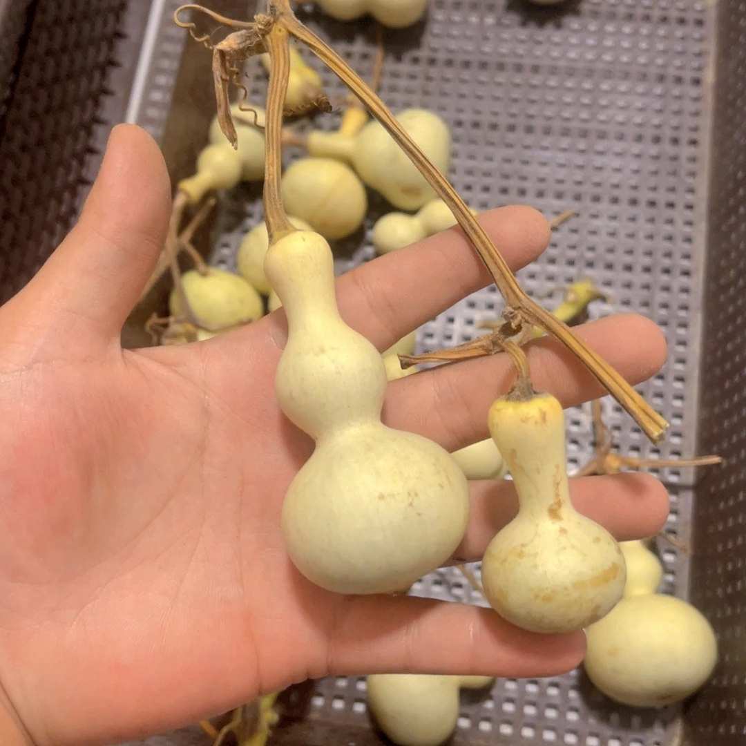 冠***铺感谢大哥支持兄弟兄弟不保