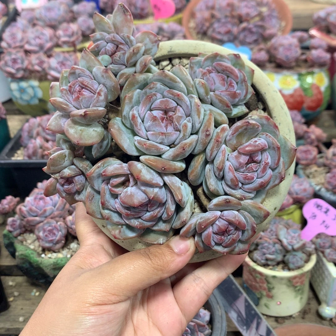 哈哈哈哈哈哈哈哈哈