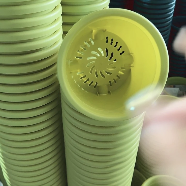 四季3号果绿无托10个特价微瑕