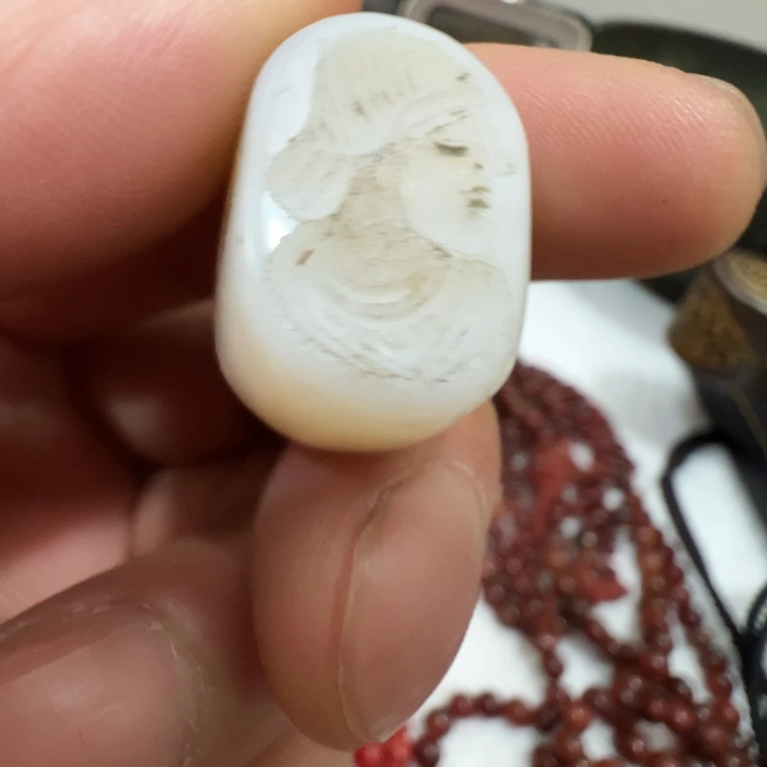 印张古珠千岁8652