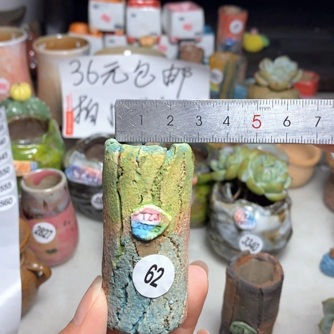 拍5送一个小礼物