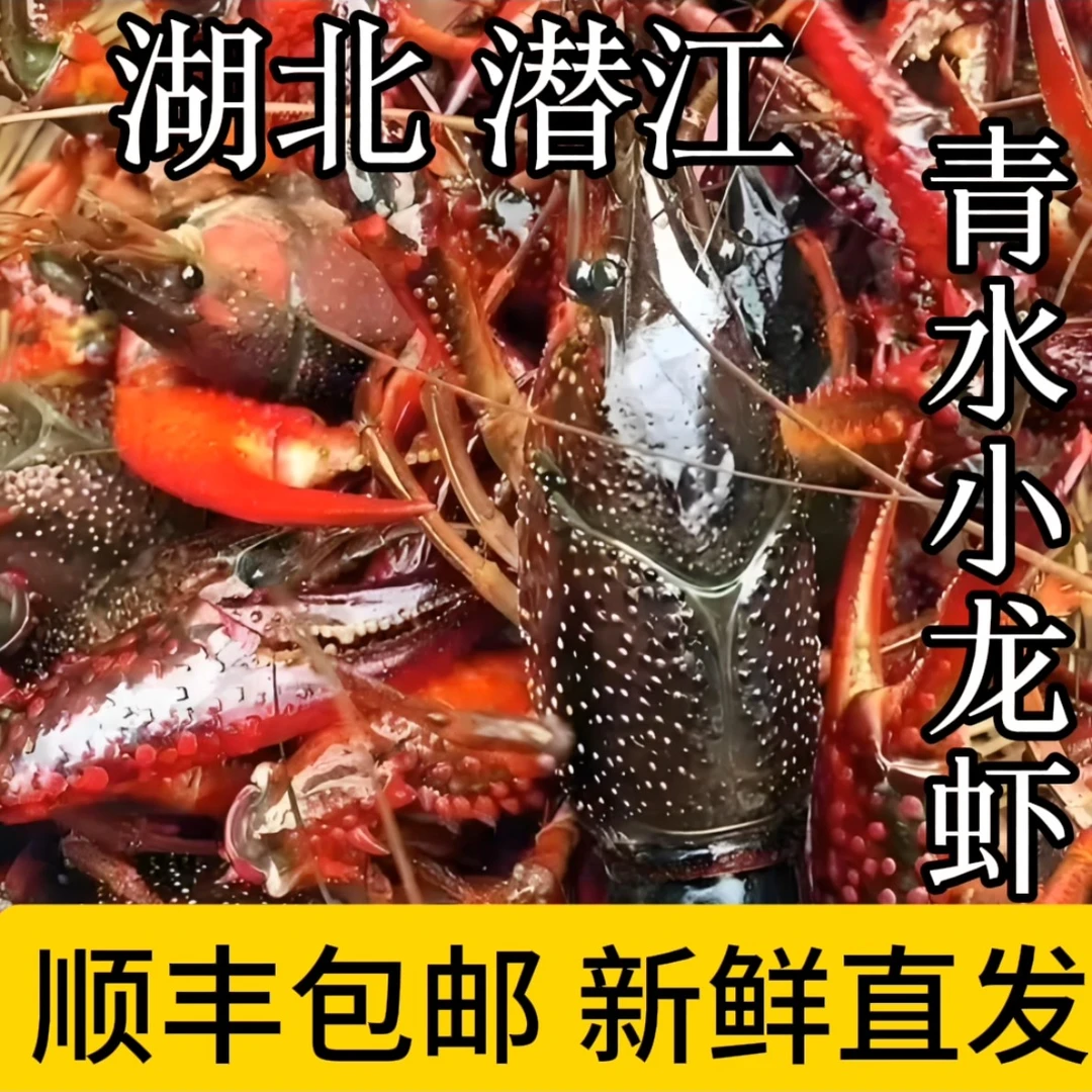 鲜活小龙虾肉质鲜嫩清水养殖时令美味顺丰到家