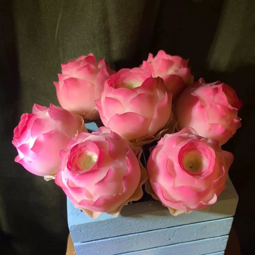 ［满15元包邮］2号 10颗小玫瑰 2厘米左右 绿色发货